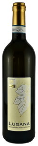 LUGANA D.O.C. - Vendemmia 2023